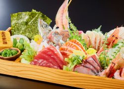 dish-sashimi